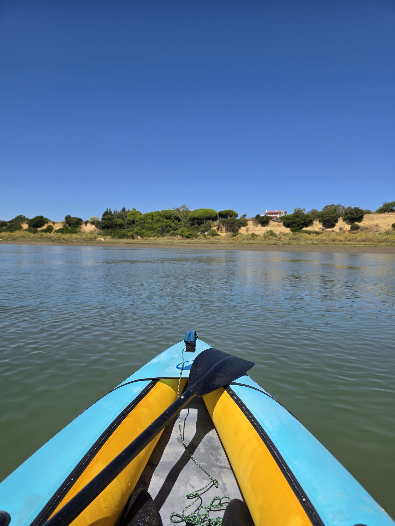 Passeio de caiaque na Ria Formosa
